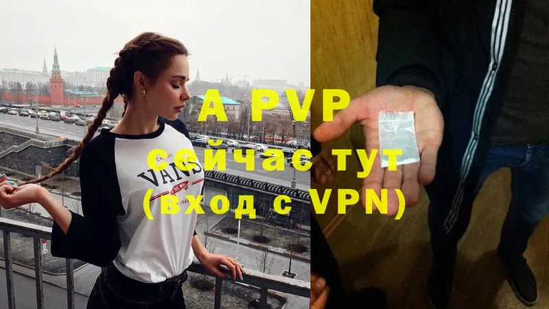 блэк спрут зеркало  Райчихинск  A PVP СК  закладки 