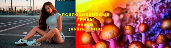гашик Нефтекумск