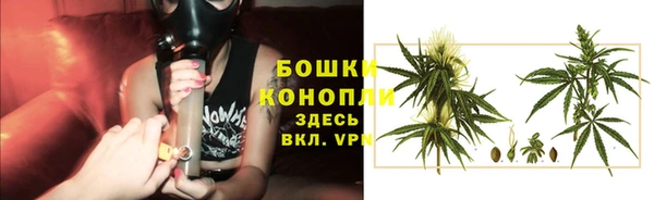 эйфоретик Нея