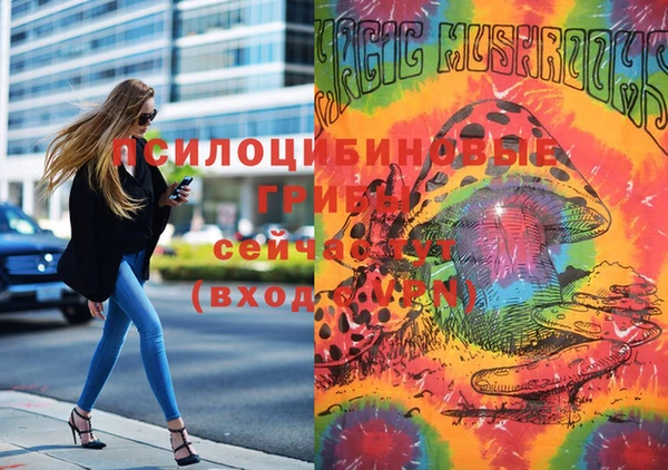 МДПВ Белая Холуница