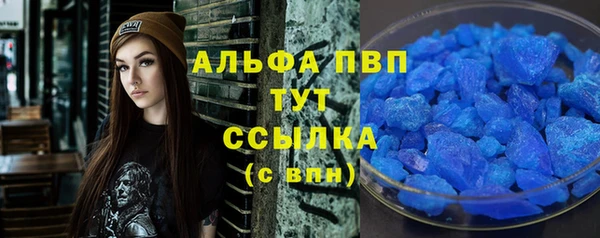гашик Нефтекумск