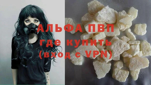 гашик Нефтекумск