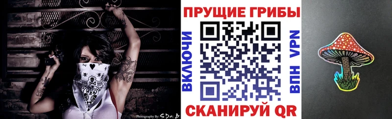 Псилоцибиновые грибы Magic Shrooms  наркота  Райчихинск 